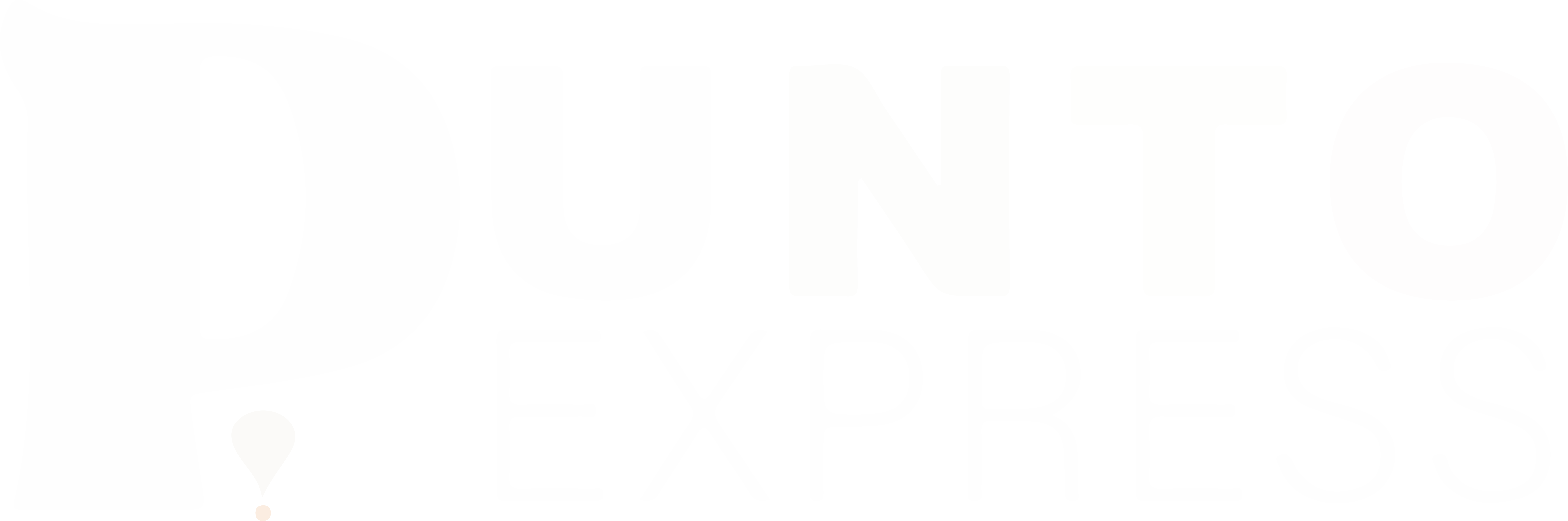 Punto Express Logo